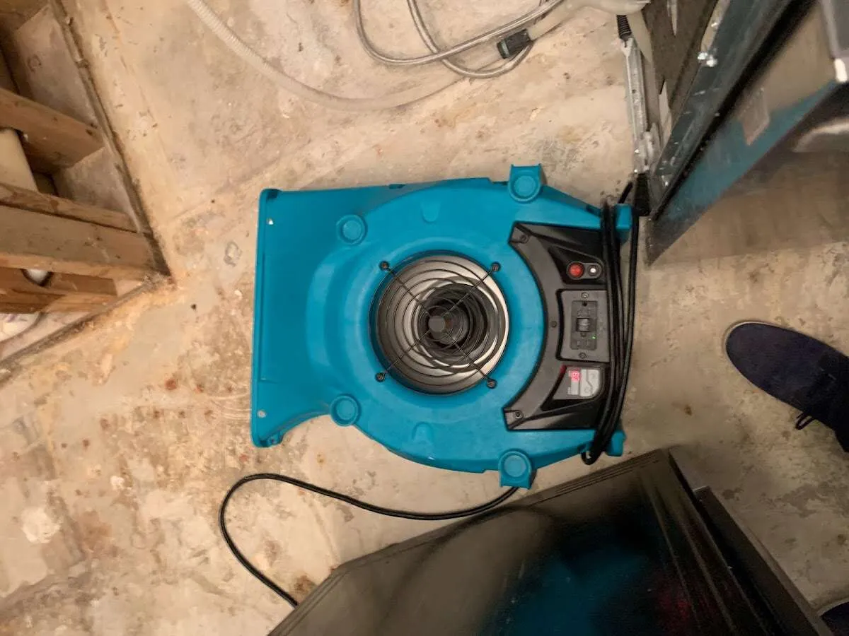 Air mover drying equipment for Mold Remediation & Removal in Sayreville